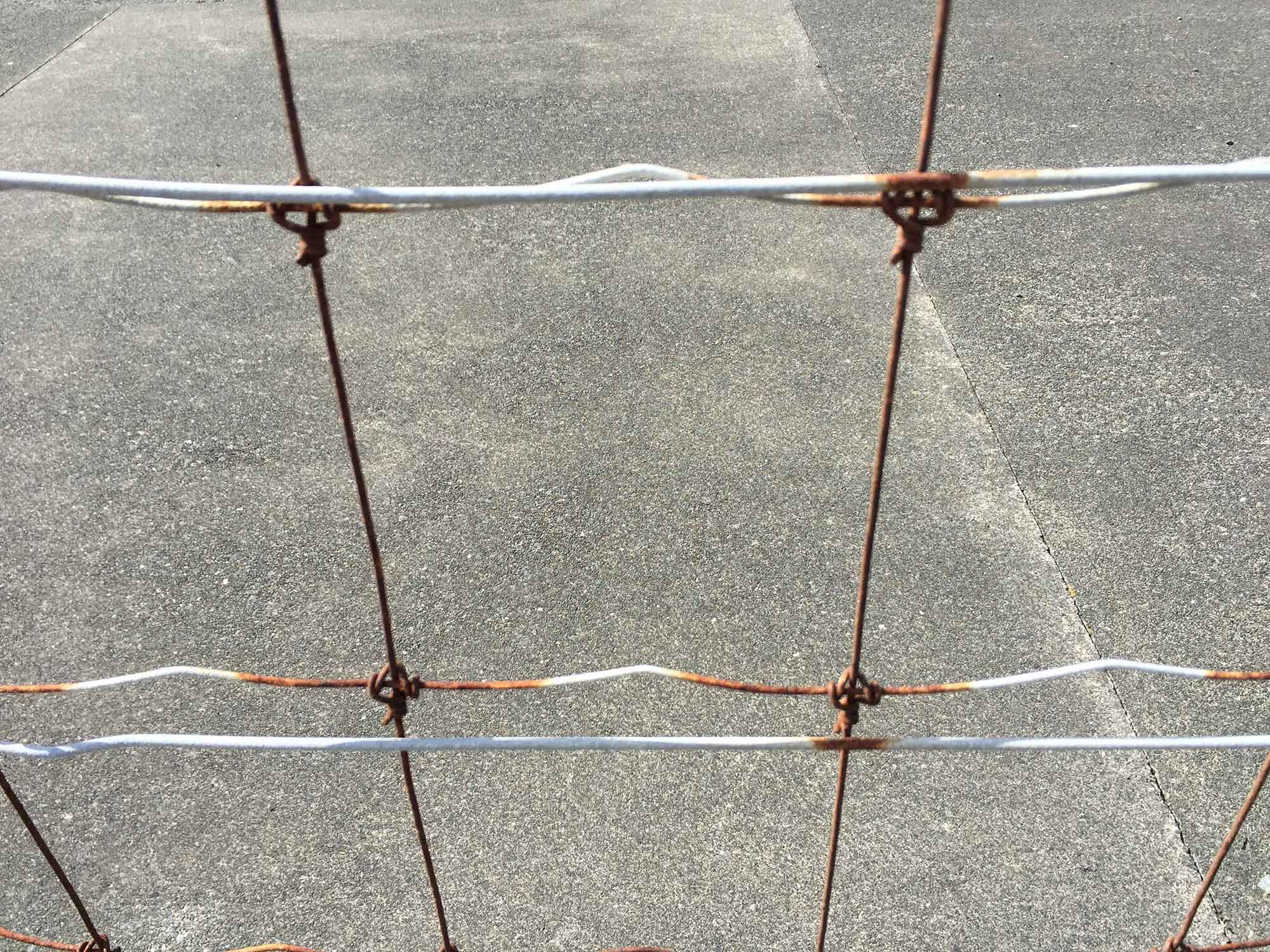 Seeing the metal fence as a woven matrix susceptible to wind and weather. A still image from performance documentation of windwoundweatherwirewovenwoman (2017). Julieanna Preston photographer.